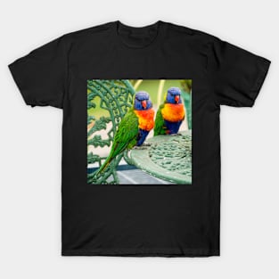 Rainbow Lorikeets T-Shirt